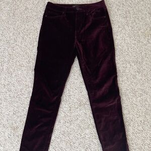 Velvet aqua pants